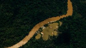 Brasil minería ilegal Yanomami