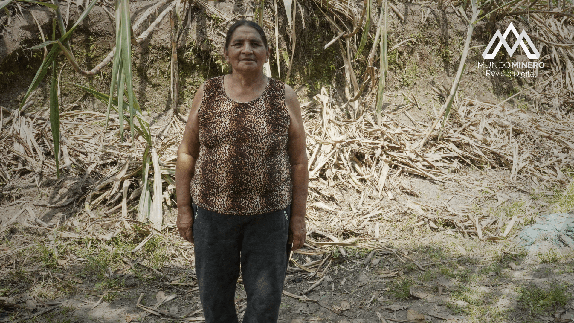 Los desafíos de la comunidad de Pacto frente a la consulta popular y la minería en el Chocó Andino