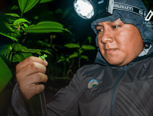 Lundin Gold impulsa monitoreo de anfibios en el Refugio El Zarza