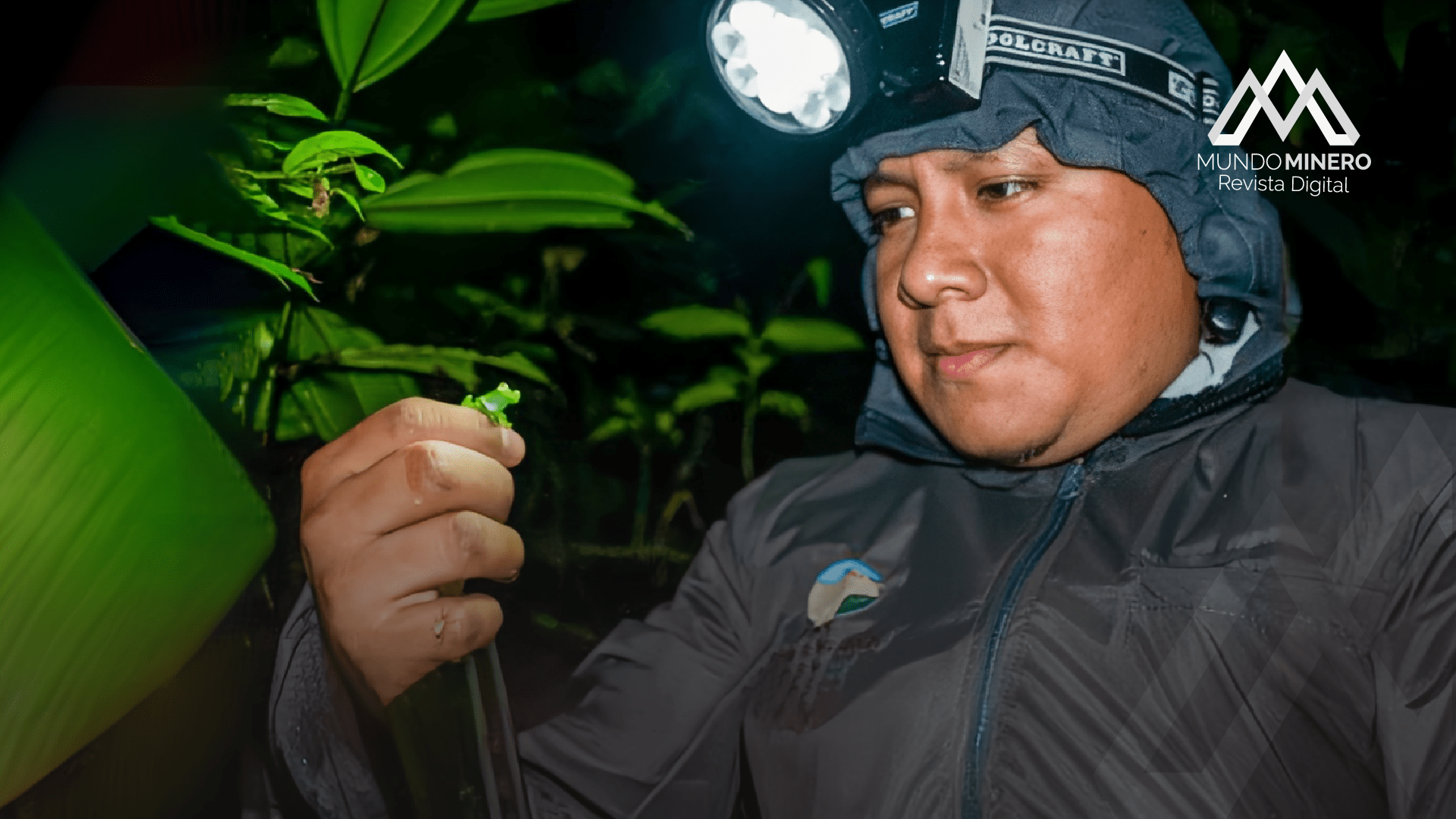 Lundin Gold impulsa monitoreo de anfibios en el Refugio El Zarza