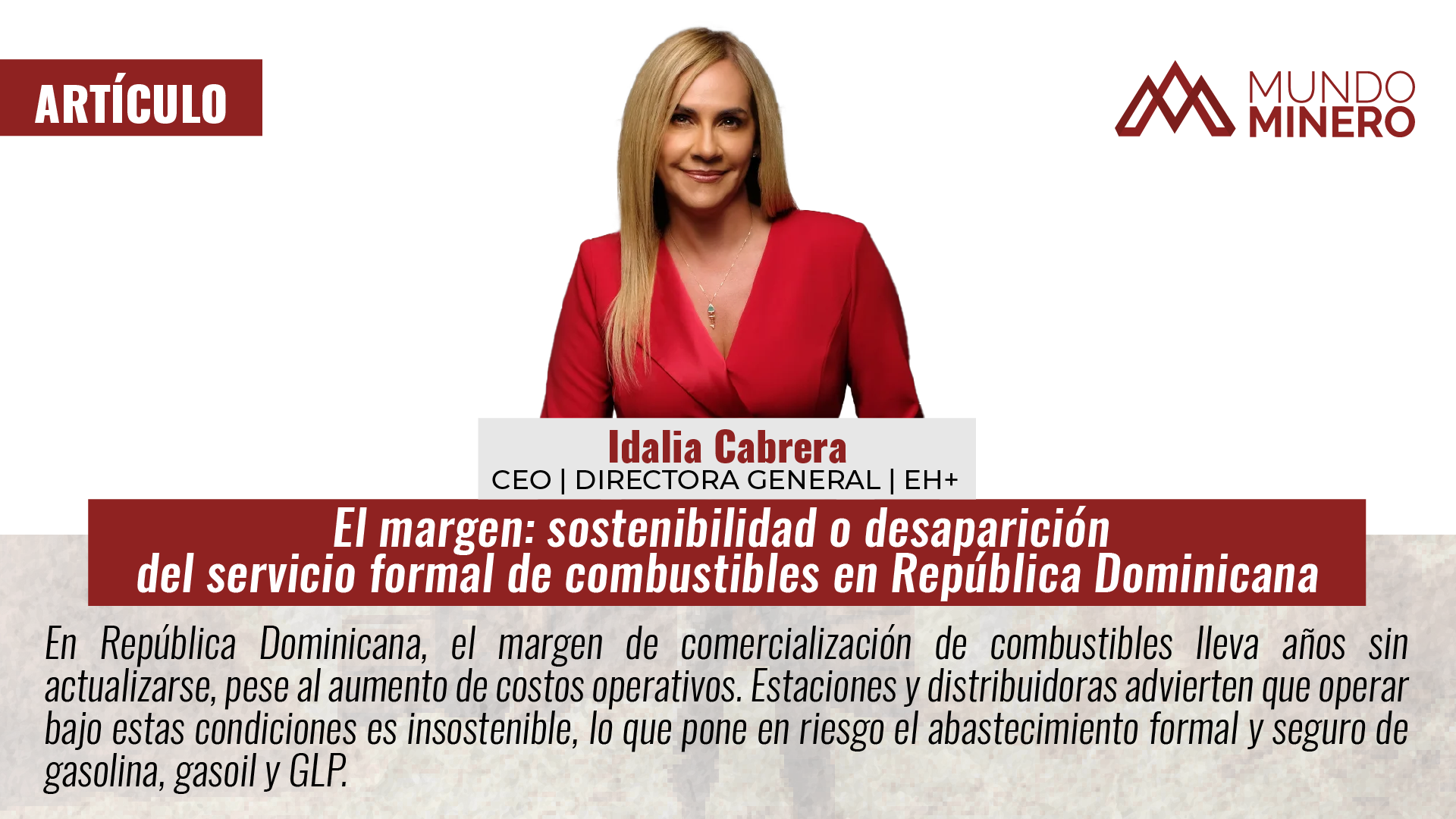 MUNDO MINERO El margen: sostenibilidad o desaparición del servicio formal de combustibles en República Dominicana